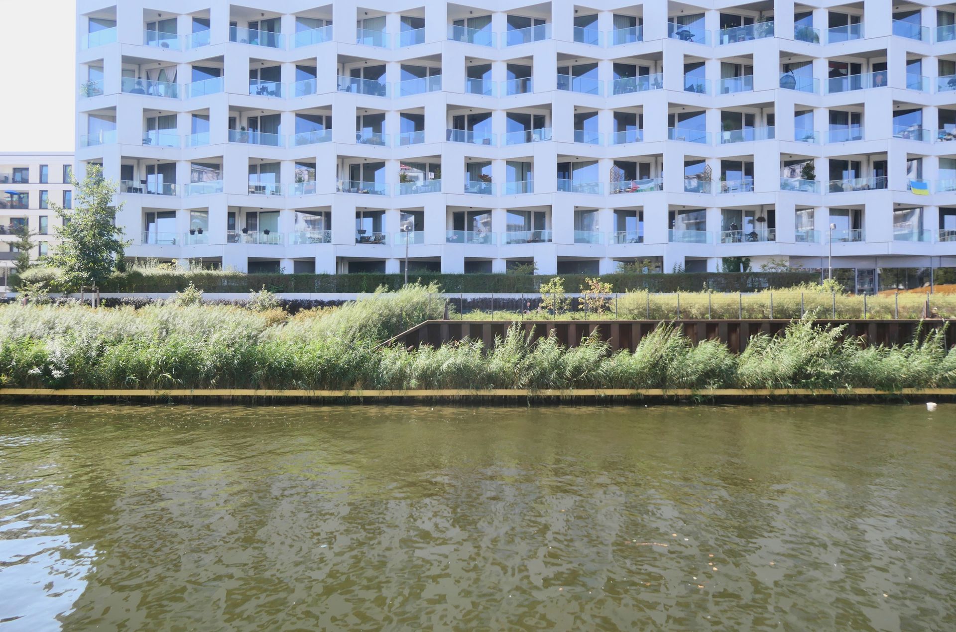 Anderthalb Jahre nach der Installation ist bereits eine dichte Schilfwand durch die Vertical Wetlands entstanden. 