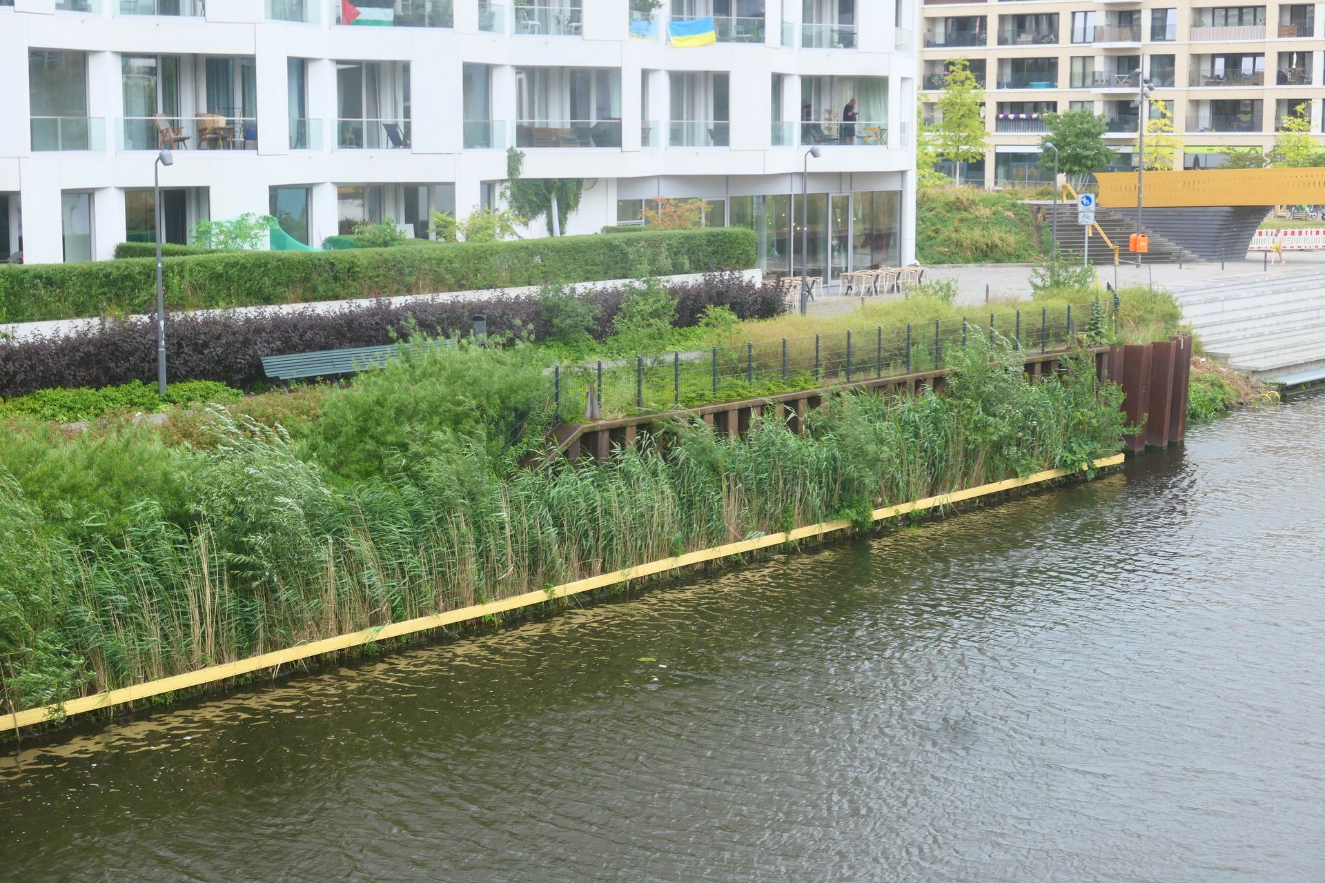 Ca. zwei Jahre nach der Installation ist bereits eine dichte Schilfwand durch die Vertical Wetlands entstanden. 