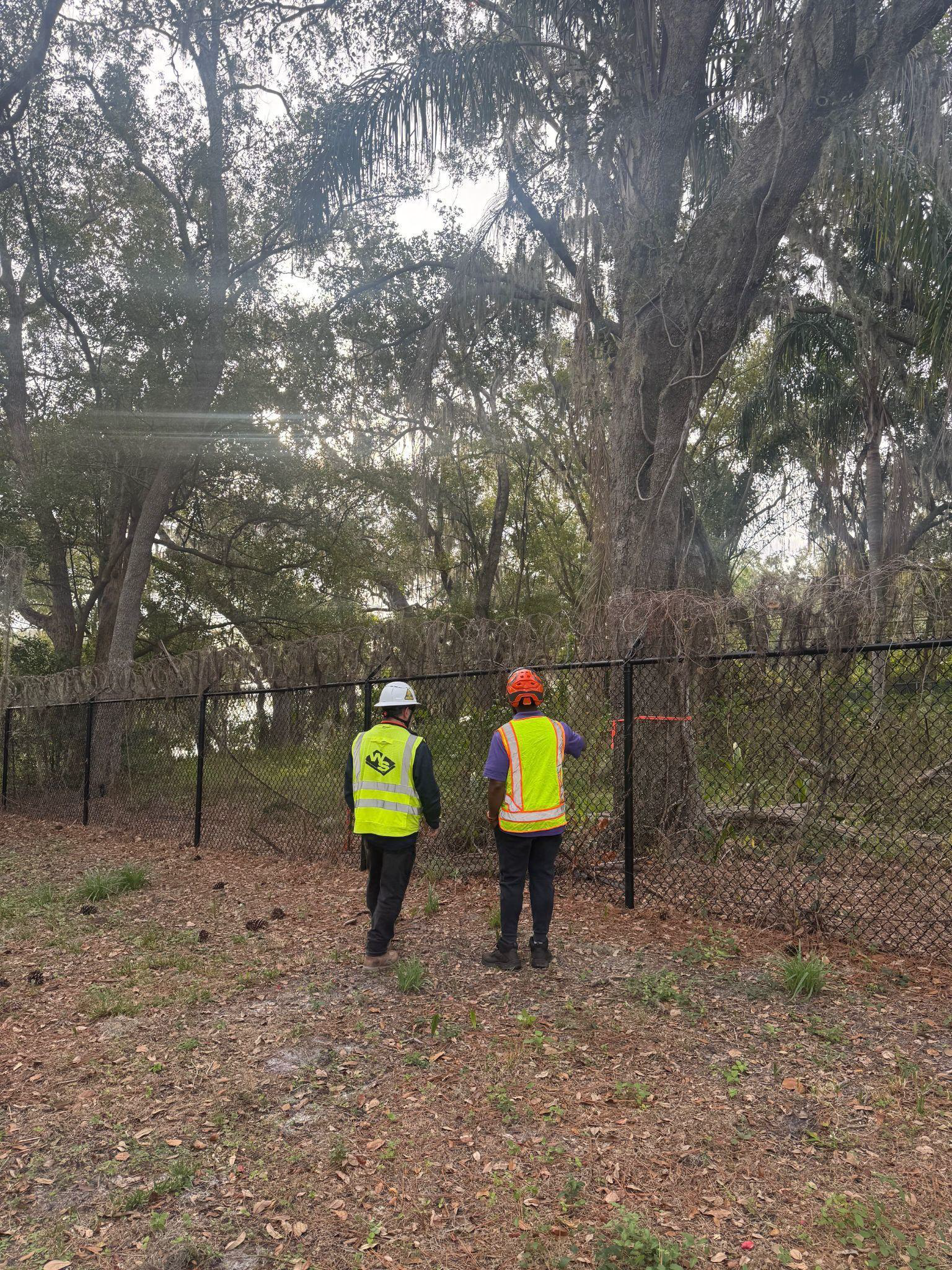 Two workers in safety vests stand near a black fence with a large tree in the background.