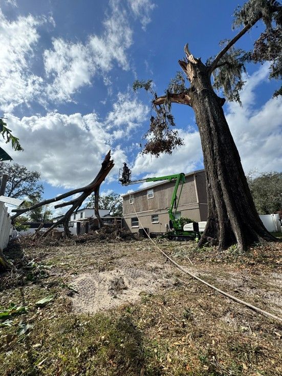 Tree removal: a large tree is being cut down near a building on a sunny day. A green machine is used.