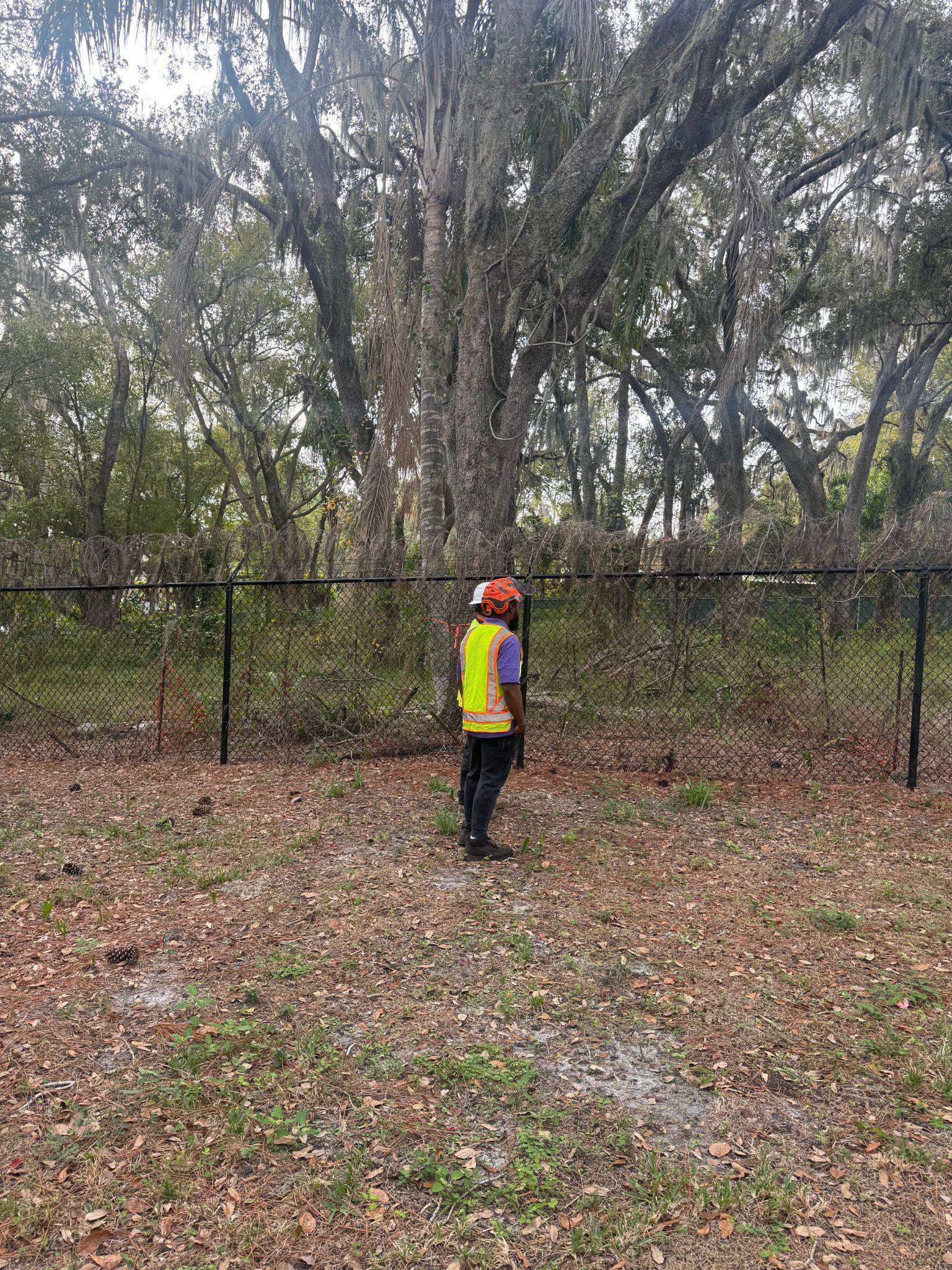 Person wearing safety gear stands near a black chain-link fence and a large tree in a wooded area.