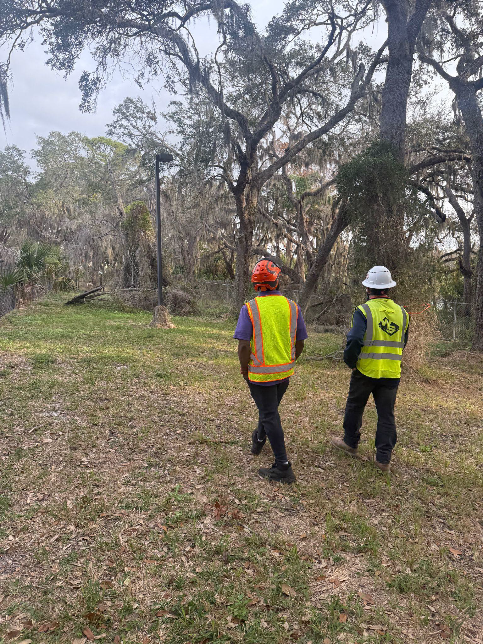 Two workers in safety vests and helmets walking in a grassy wooded area.