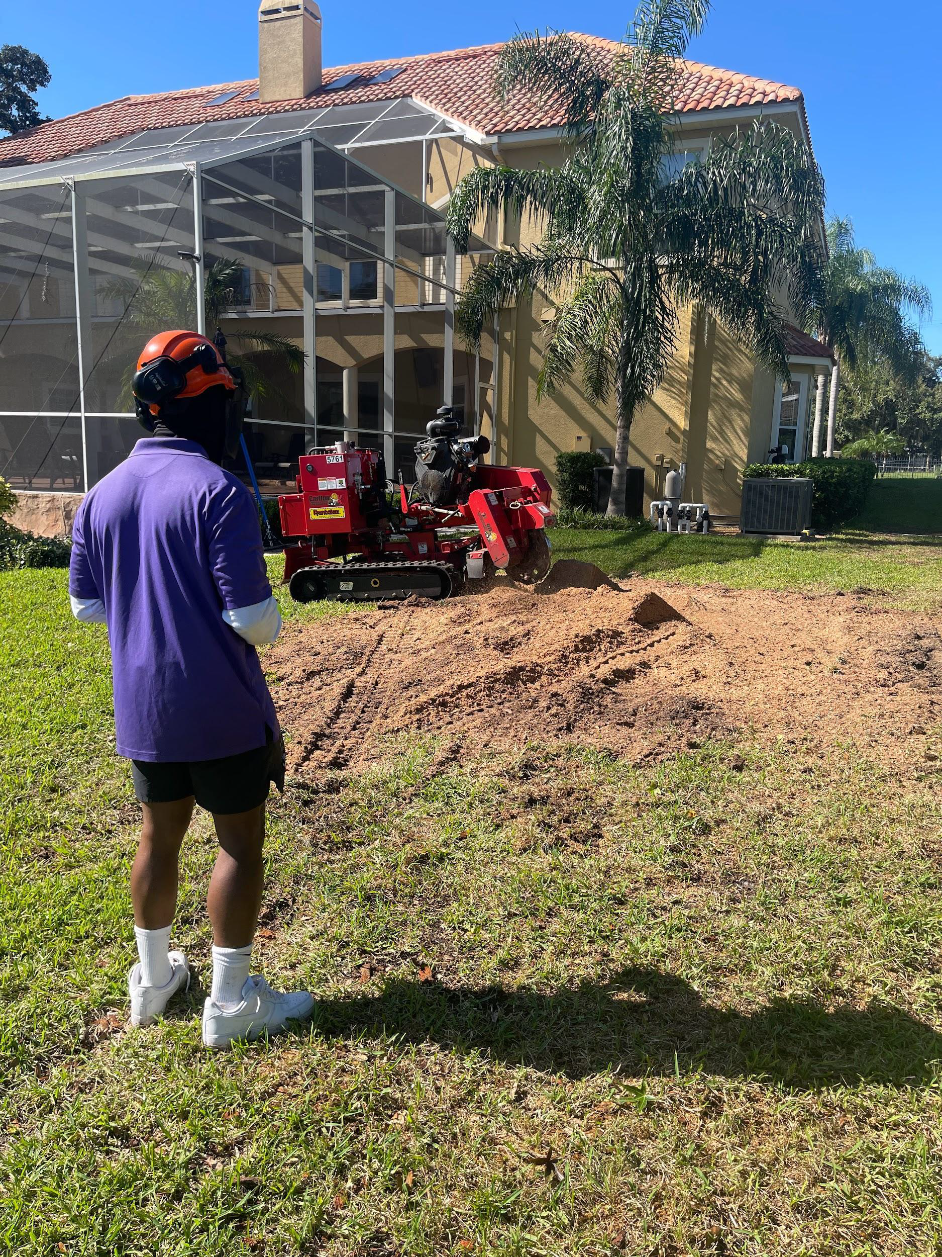 A person watches a stump grinder in a yard. Red machine, person in purple shirt, house in background.