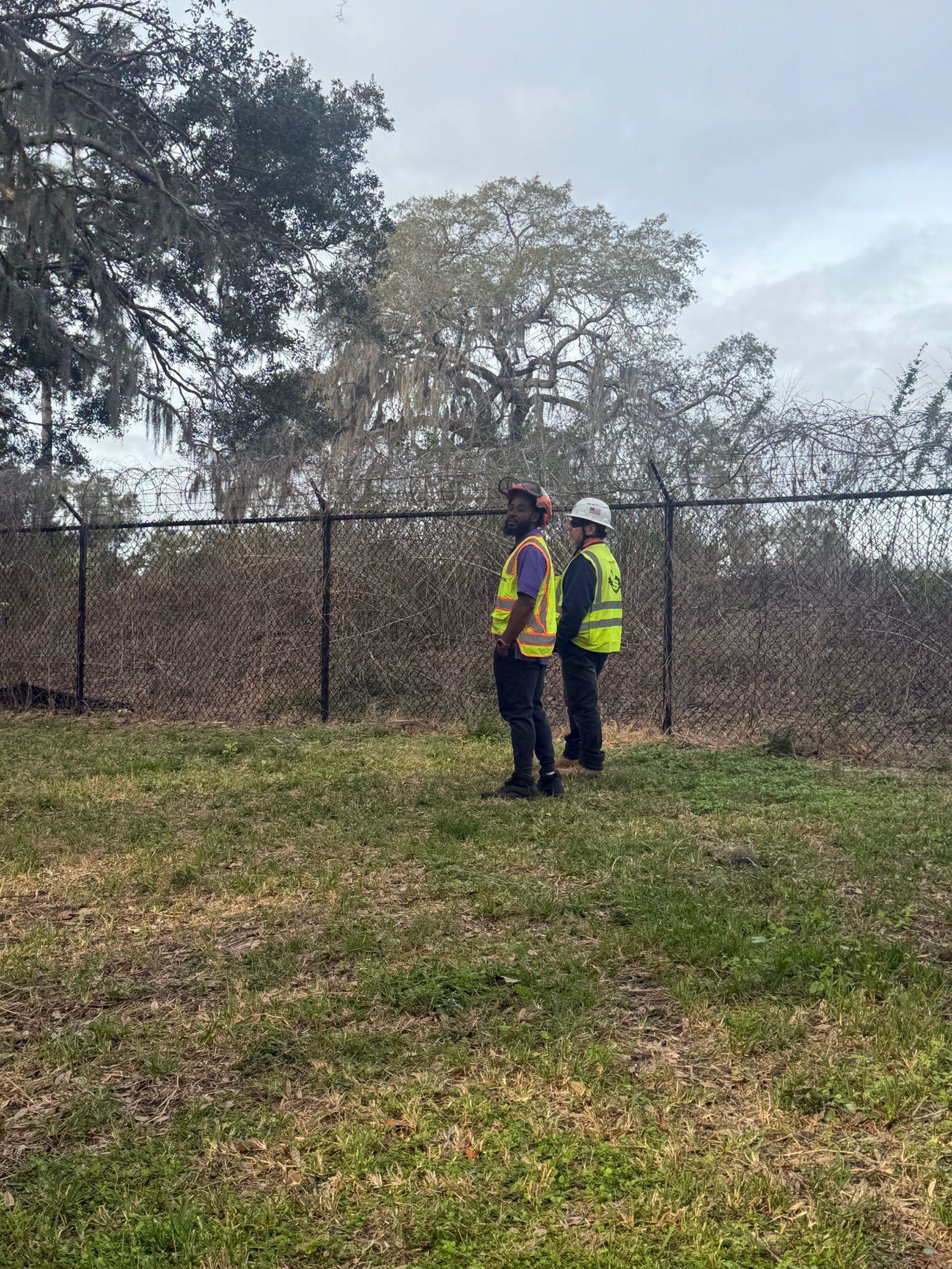 Two workers in safety vests and hard hats walk through a grassy wooded area.
