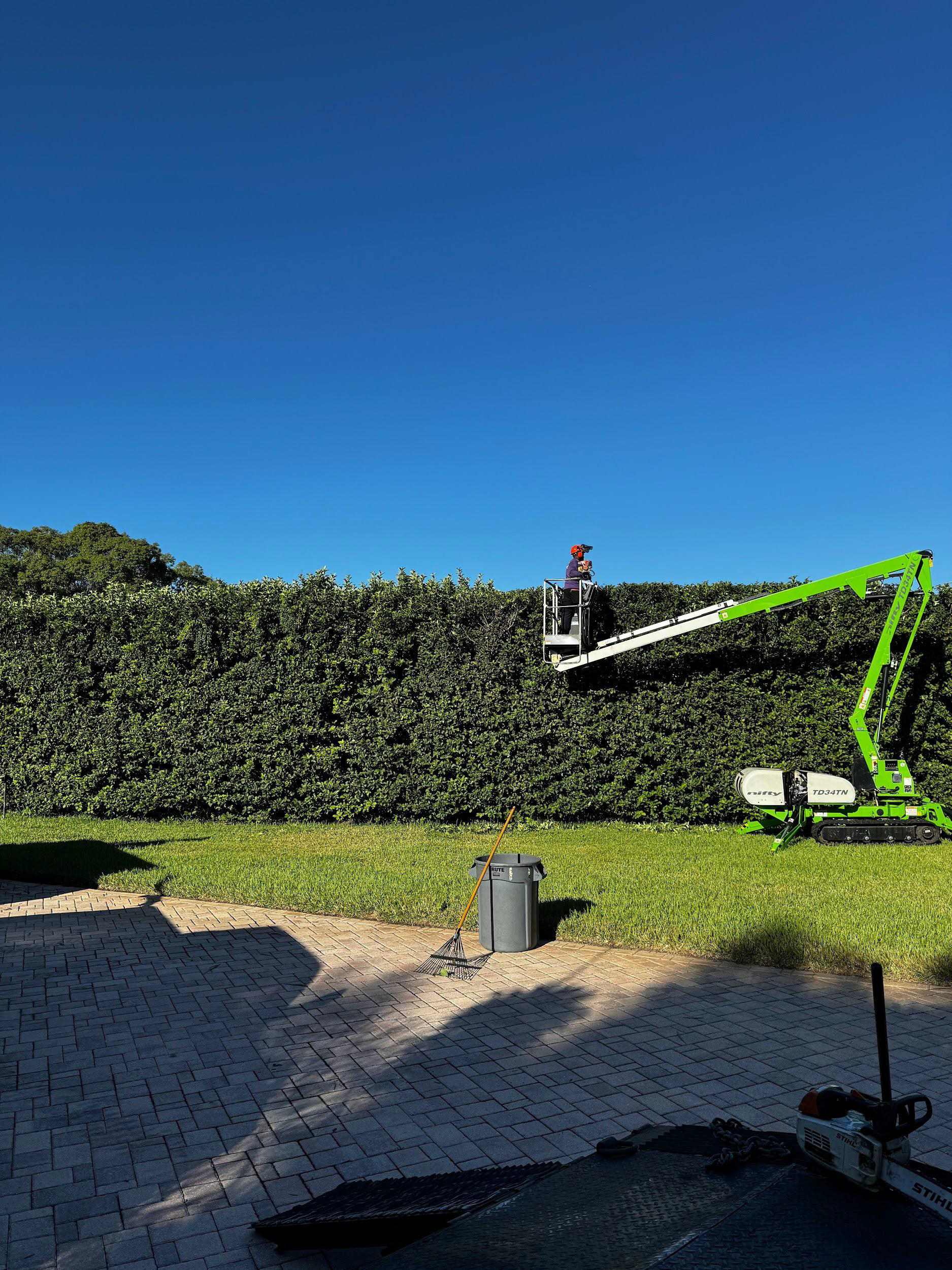 Person trims large hedge from a green lift under a blue sky.