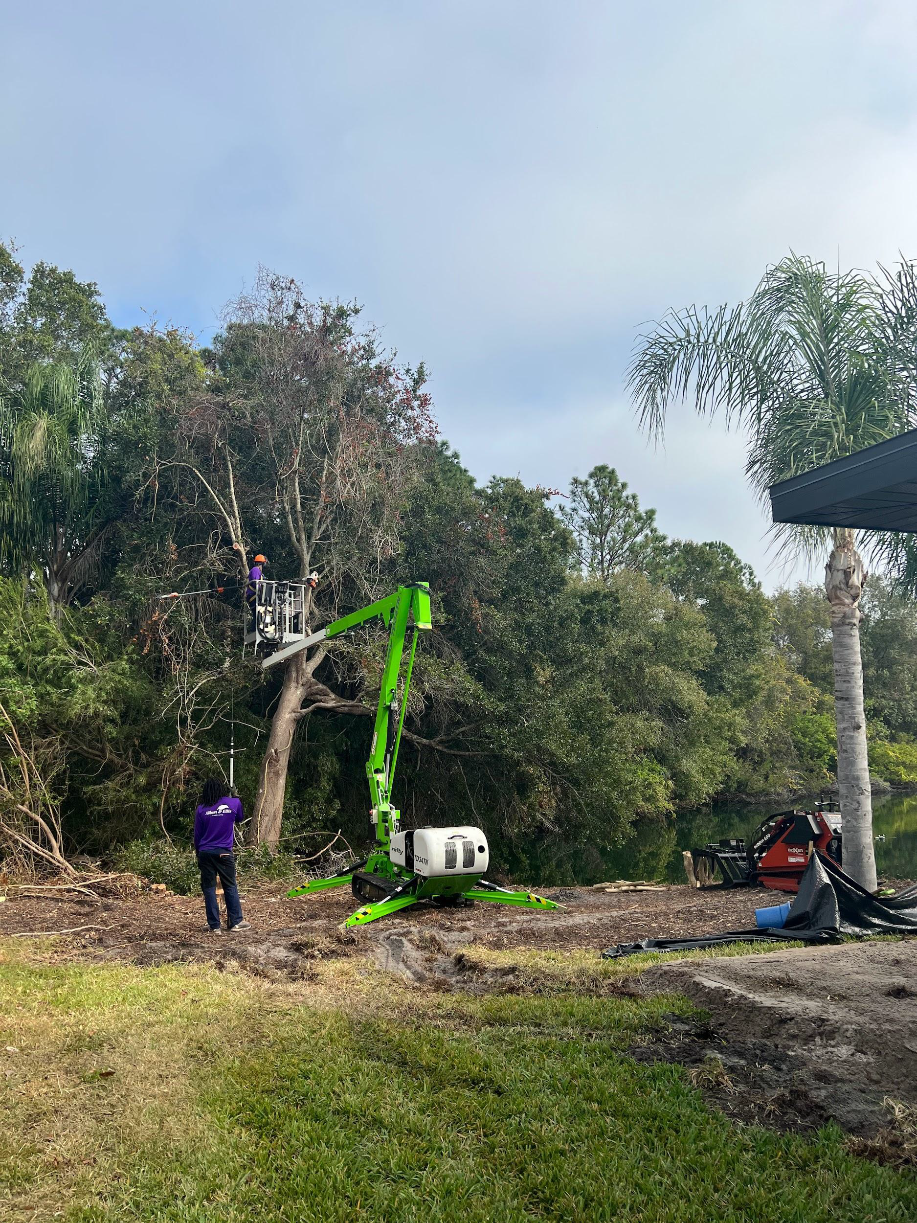 Tree trimming with a green lift truck and workers outdoors.