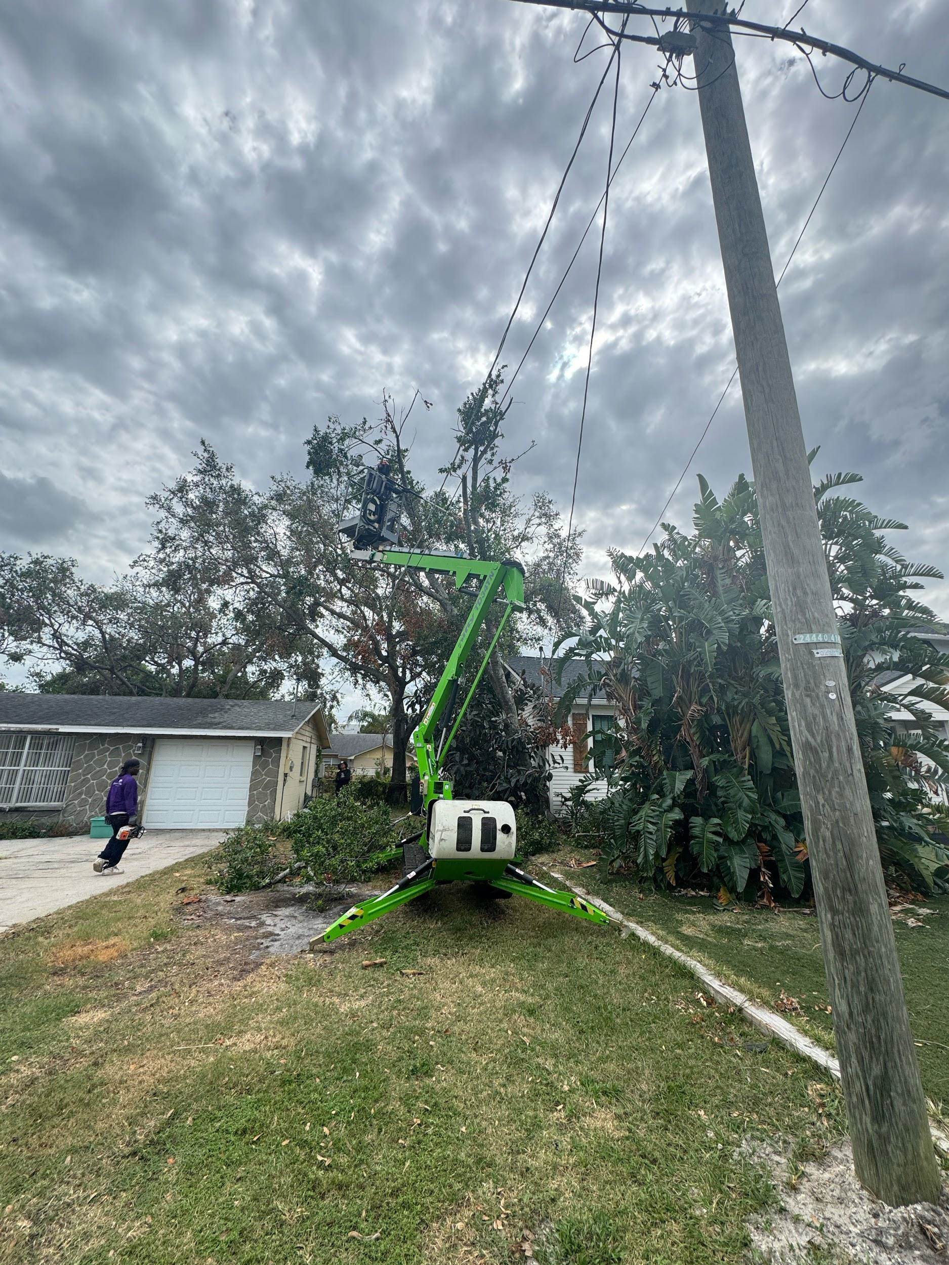A green boom lift trimming a tree near power lines; cloudy sky.