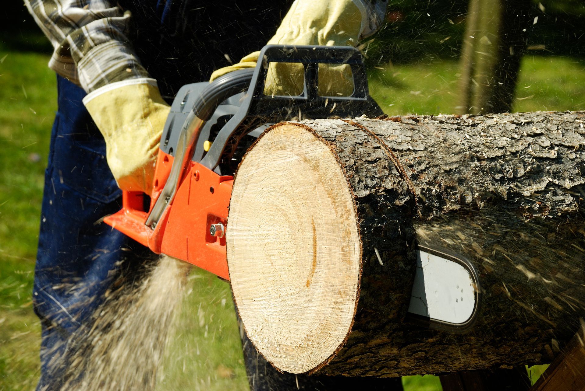 Yellow and white cherry picker with rotating saw blades cutting tree branches against a blue sky.