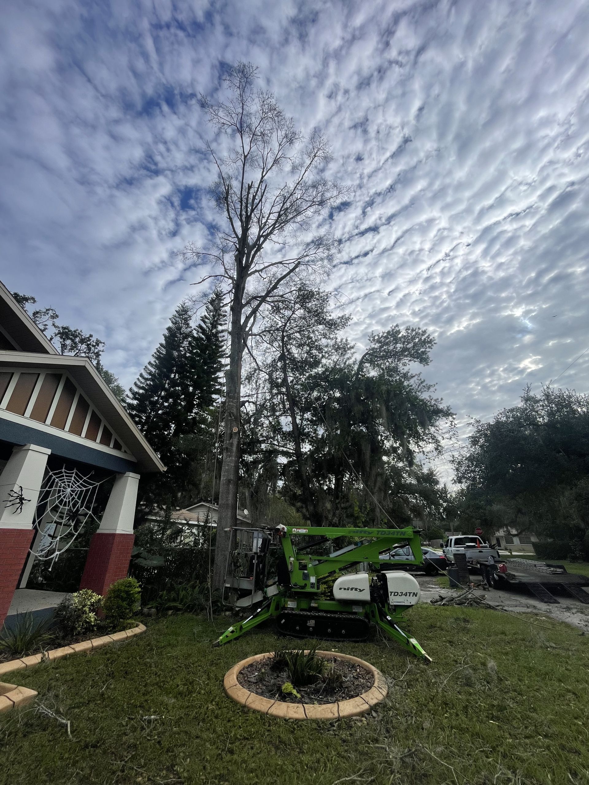Green lift near a tall tree next to a house under a cloudy sky.