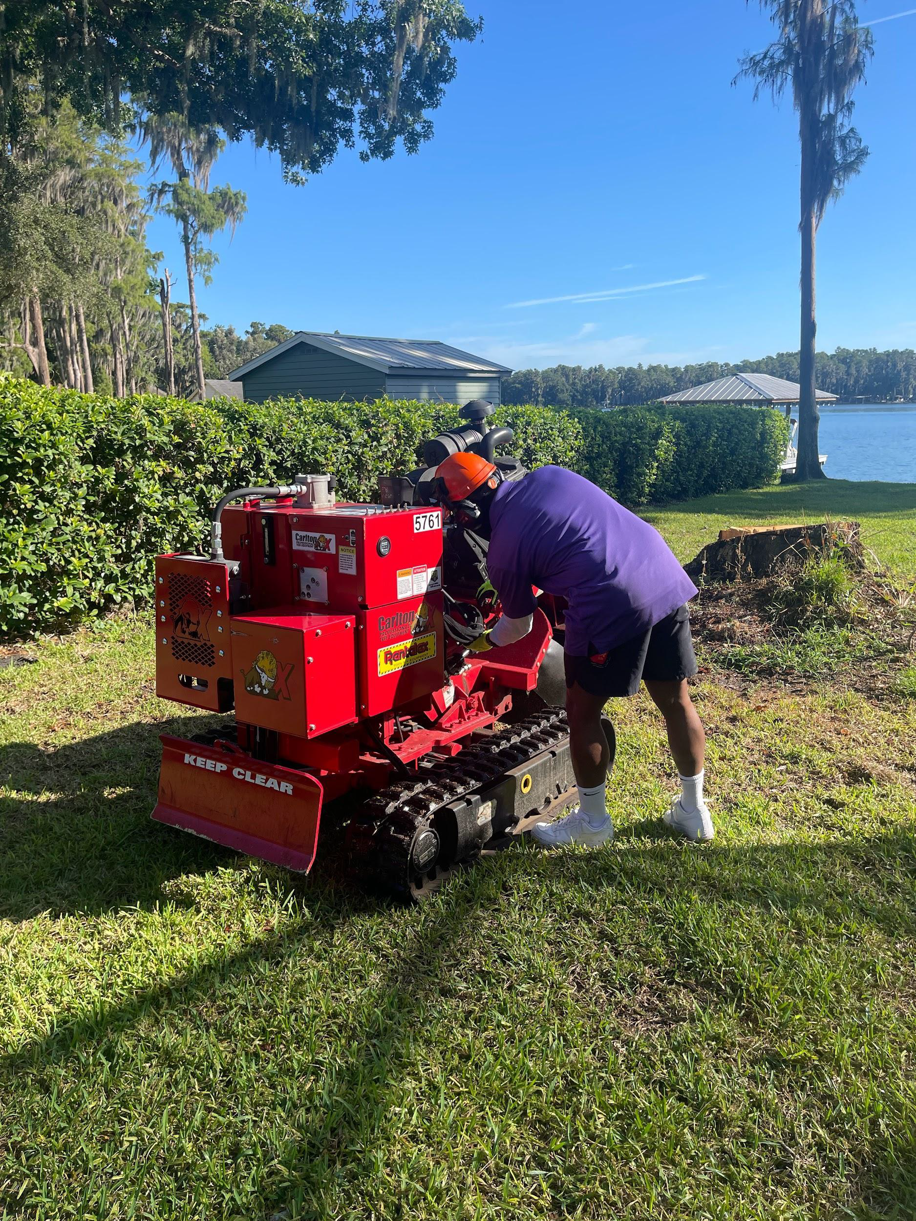 Person operating a red stump grinder on a grassy lawn with a lake in the background.