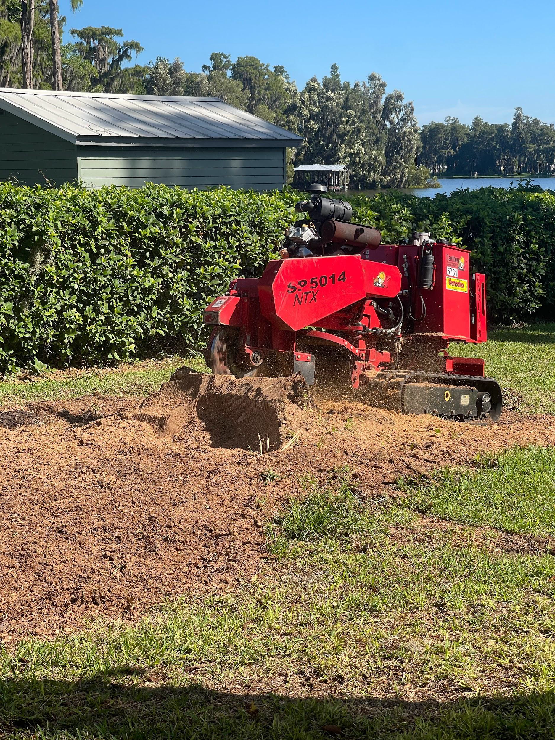 A red stump grinder pulverizes a tree stump in a yard. Green grass, trees, and a building are in the background.