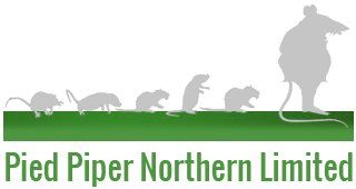 Pied Piper Northern Limited logo