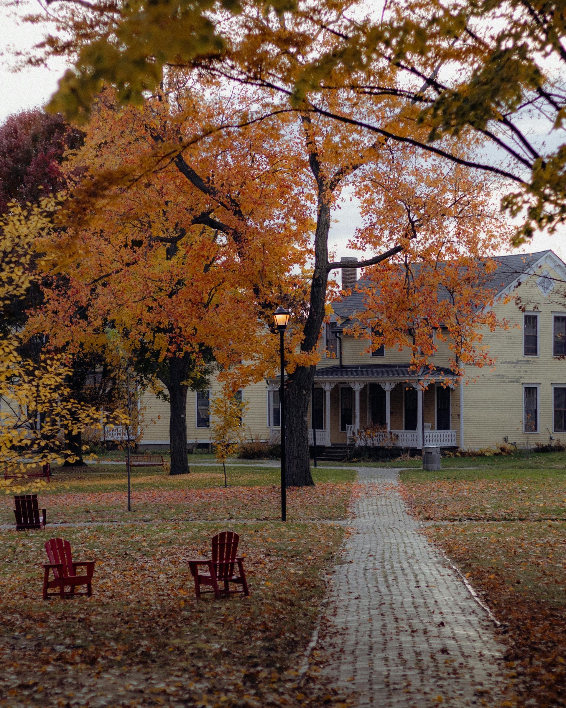 A house with a porch is surrounded by trees and leaves