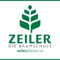 Logo Zeiler