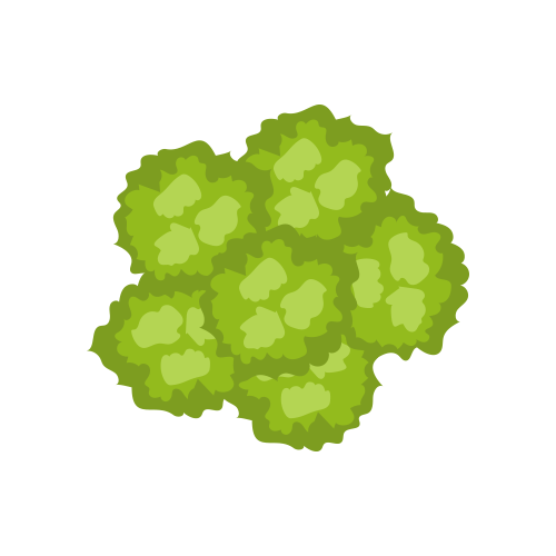 Icon Teaser