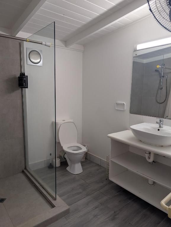 A modern bathroom with a glass-enclosed shower, a white toilet, and a vanity sink with an overhead mirror and light.