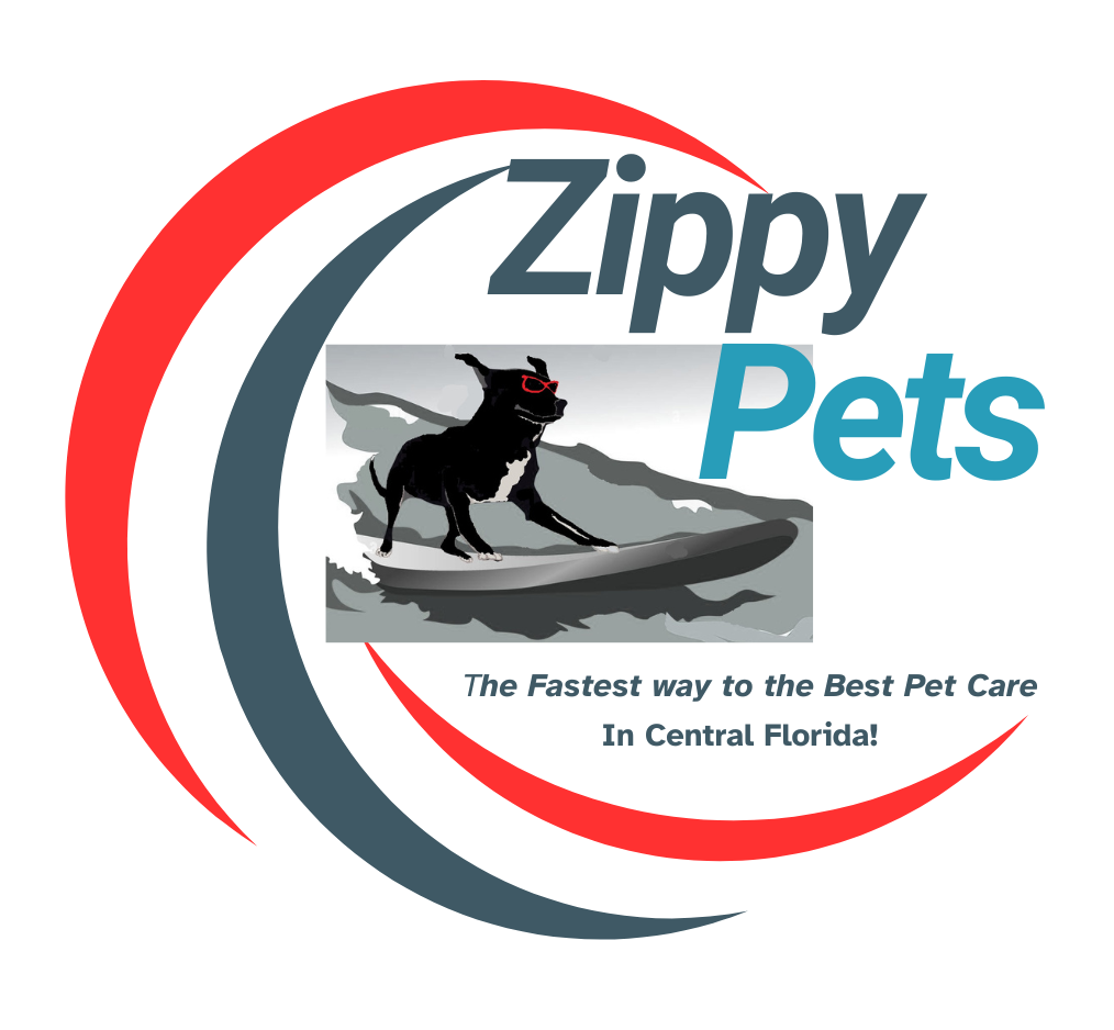Zippy Pets logo: Surfing dog, red/gray swirls, text 