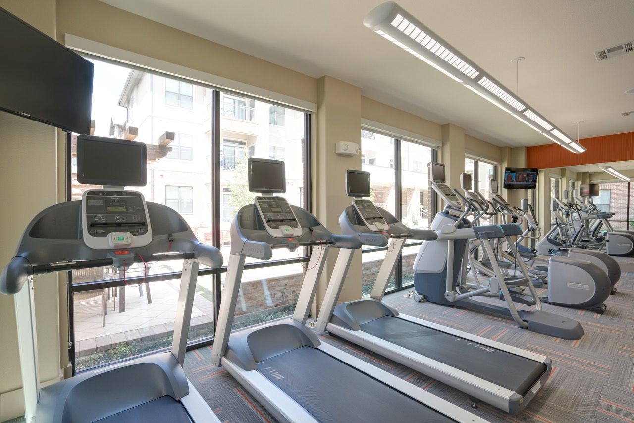 A row of treadmills and elliptical machines in a modern, well-lit fitness center with large windows.