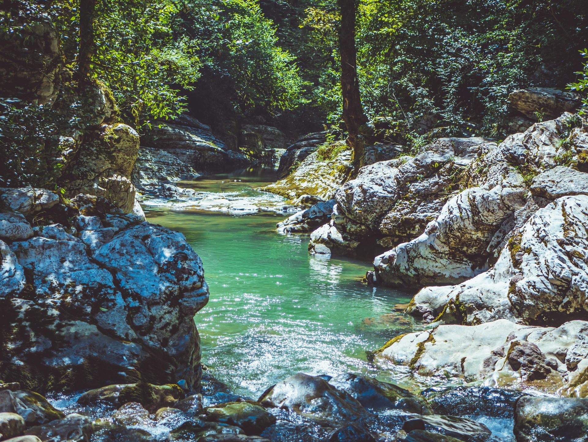 A river flowing through a lush green forest surrounded by rocks and trees.
