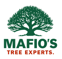 M&M Tree Service logo: Green leaves surround white letters