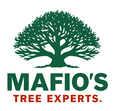 M&M Tree Service logo: Green leaves surround white letters