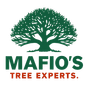 Logo for M&M Tree Service with green leaves, white text, and a tree-like shape.