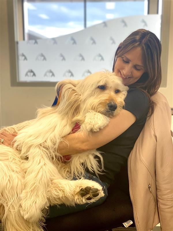 A woman is sitting in a chair hugging a dog.