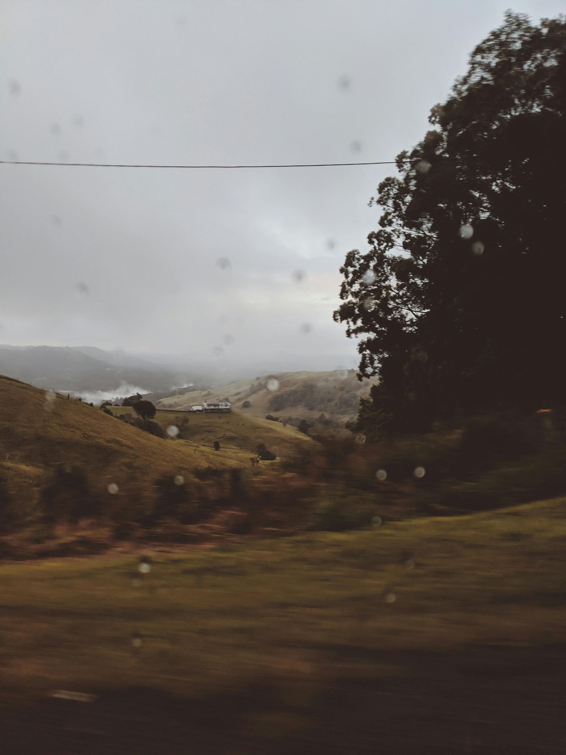 A blurry picture of a landscape with trees in the foreground