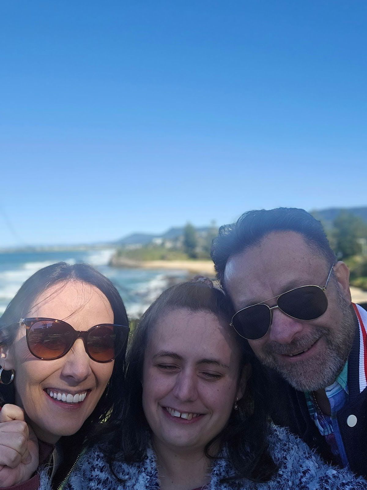 A close up of a palm tree leaf that looks like a fan