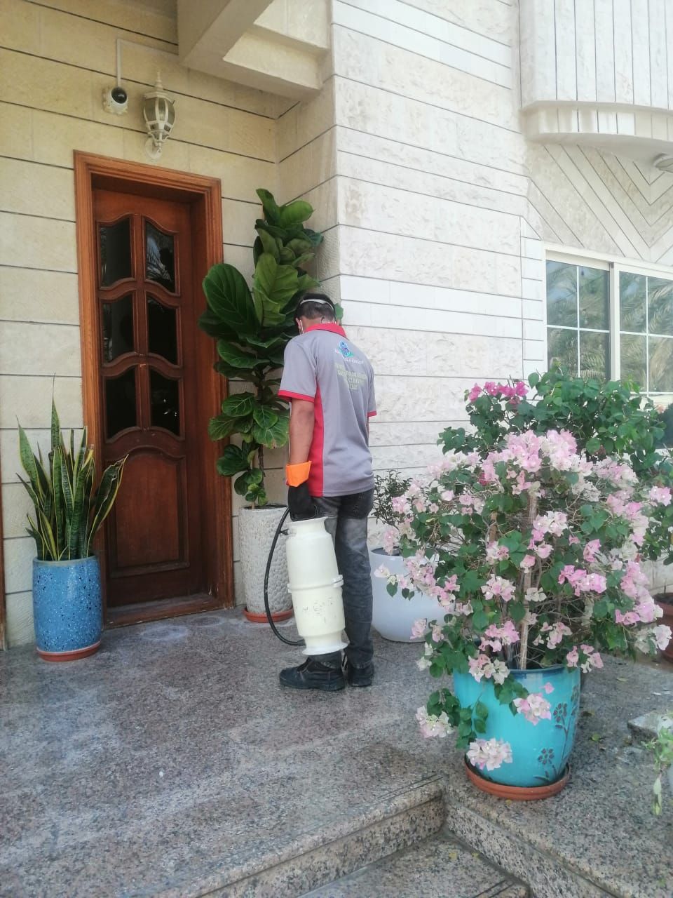 pest control services near me