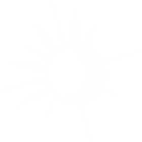 SunFlare Home Services