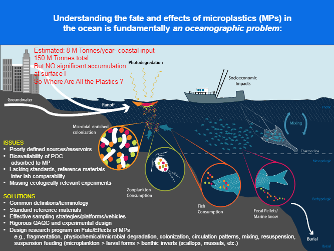 Microplastics – Development of a Raman Flow Through Microplastics Analyzer