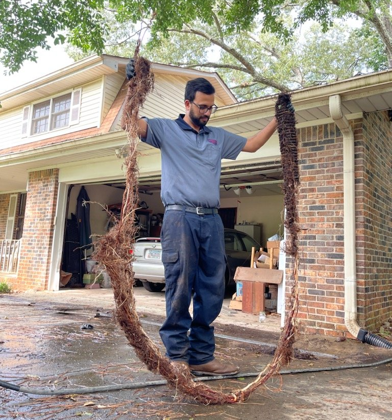 Tree Roots in Sewer Lines