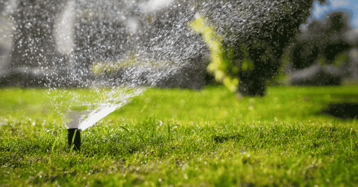 A running sprinkler system in the Georgia heat