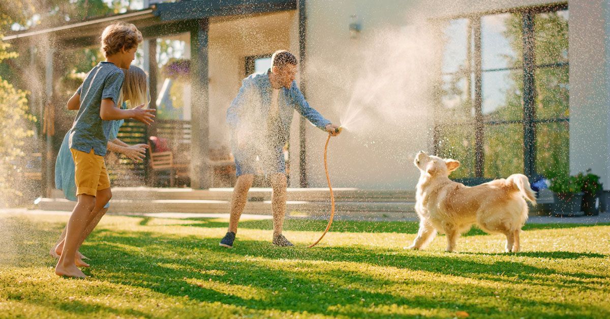 A family playing with their dog in the backyard with a water hose.