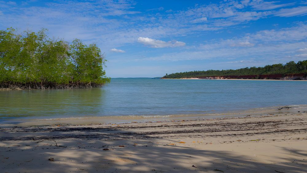 Sandy Beach With Calm Water, Trees, and a Blue Sky — KNG Roofing And Construction in Tiwi, NT