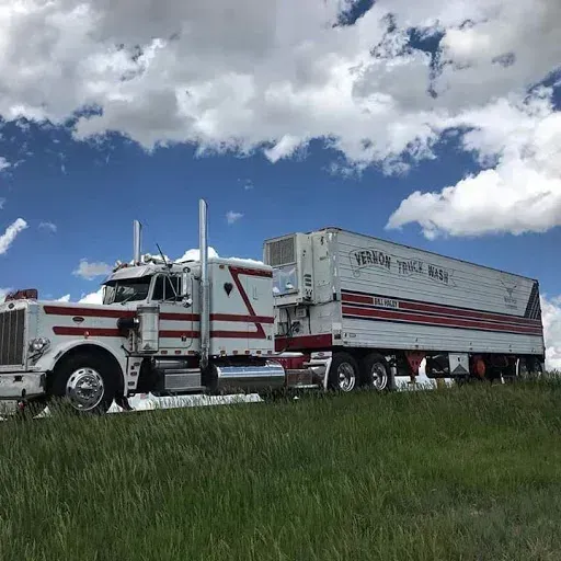 White and red semi-truck with trailer on grassy road against a blue sky with clouds.