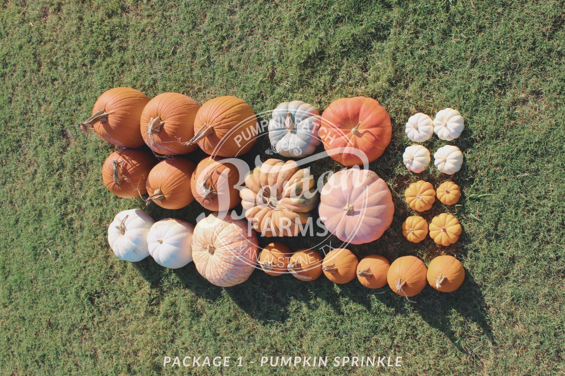 Package 1 - Pumpkin Sprinkle