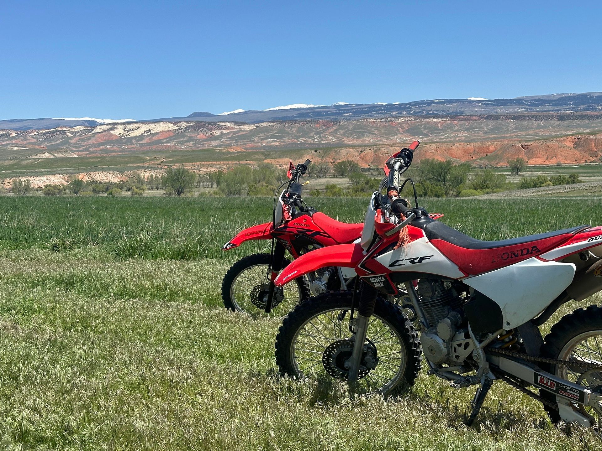 Two red and white dirt bikes parked in a grassy field with red rock desert mountains in the background under a blue sky.