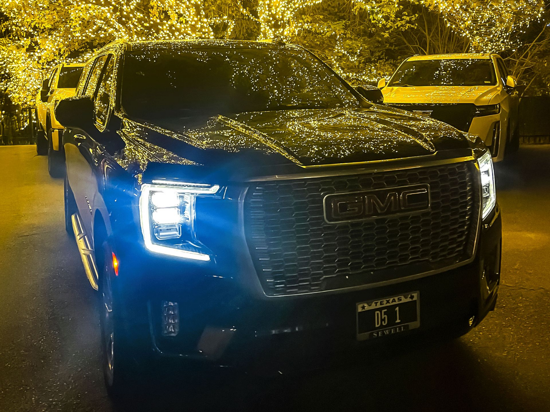 D5 Professional Services Executive Transportation