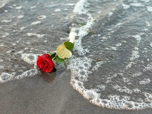 Seebestattung Nordsee Ostsee