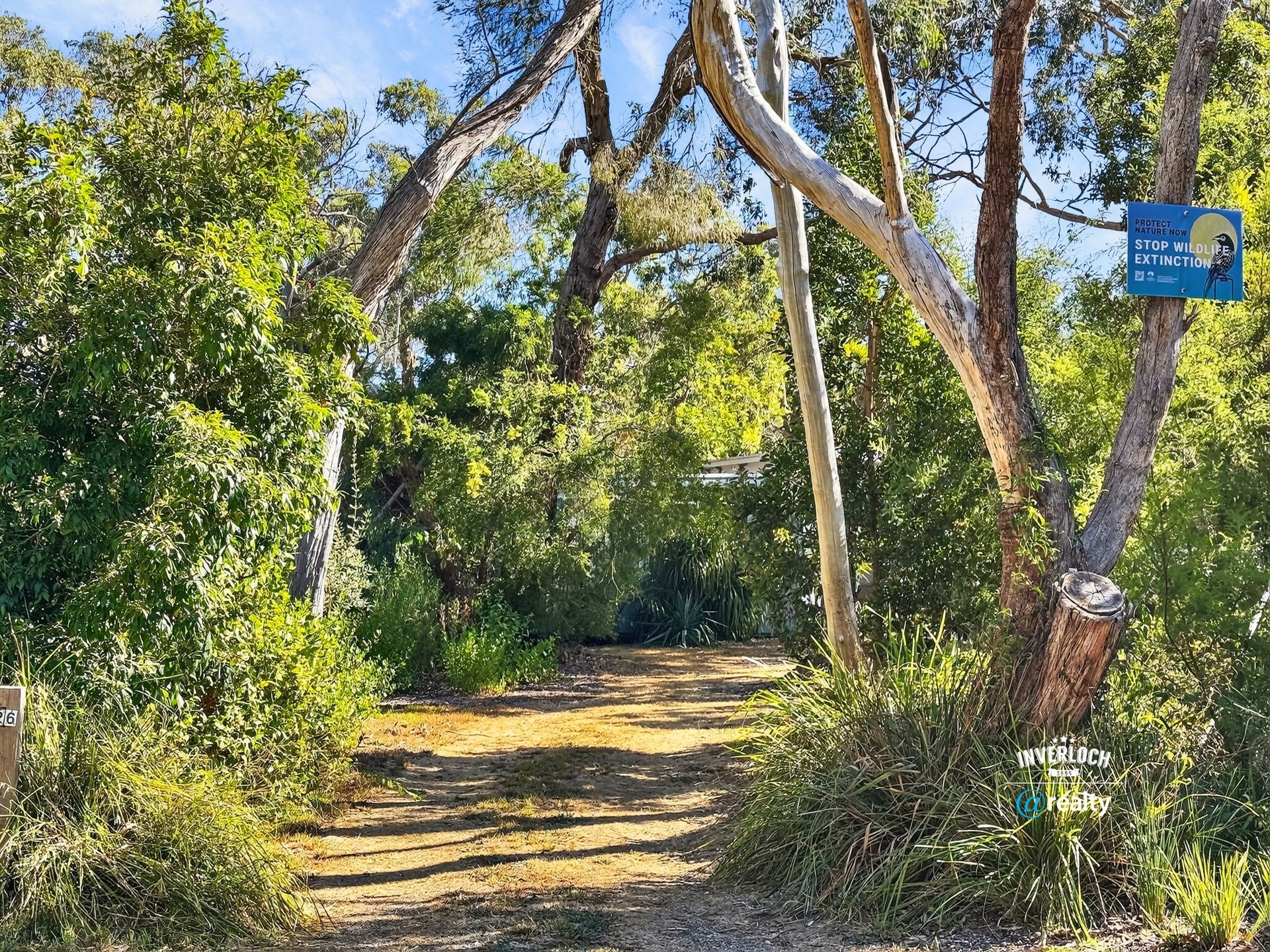 A dirt trail winds into a lush green forest under a bright, clear blue sky, with a small sign attached to a tree.
