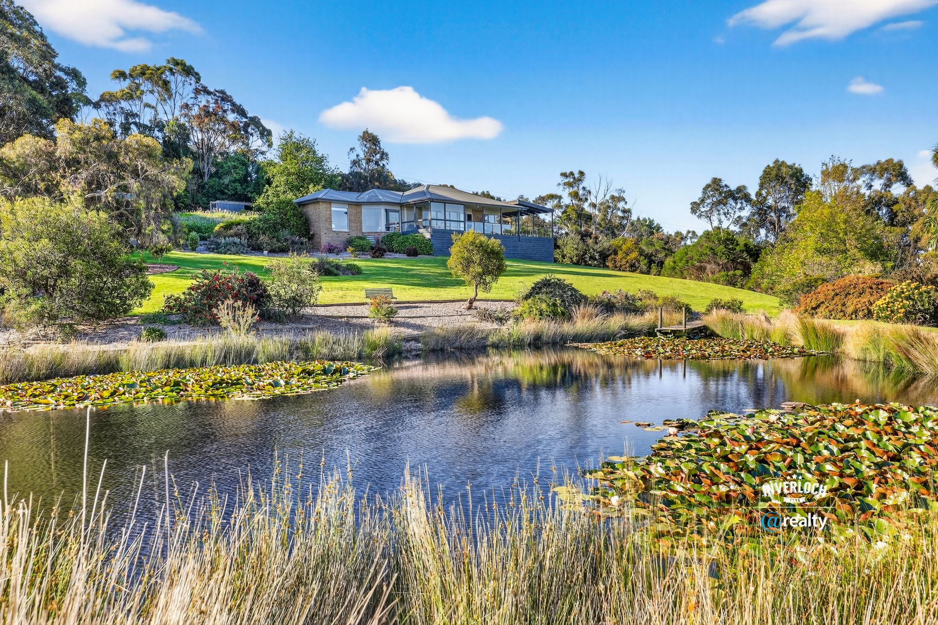 House beside a pond with lily pads and tall grasses, set on a grassy hill with trees under a blue sky.