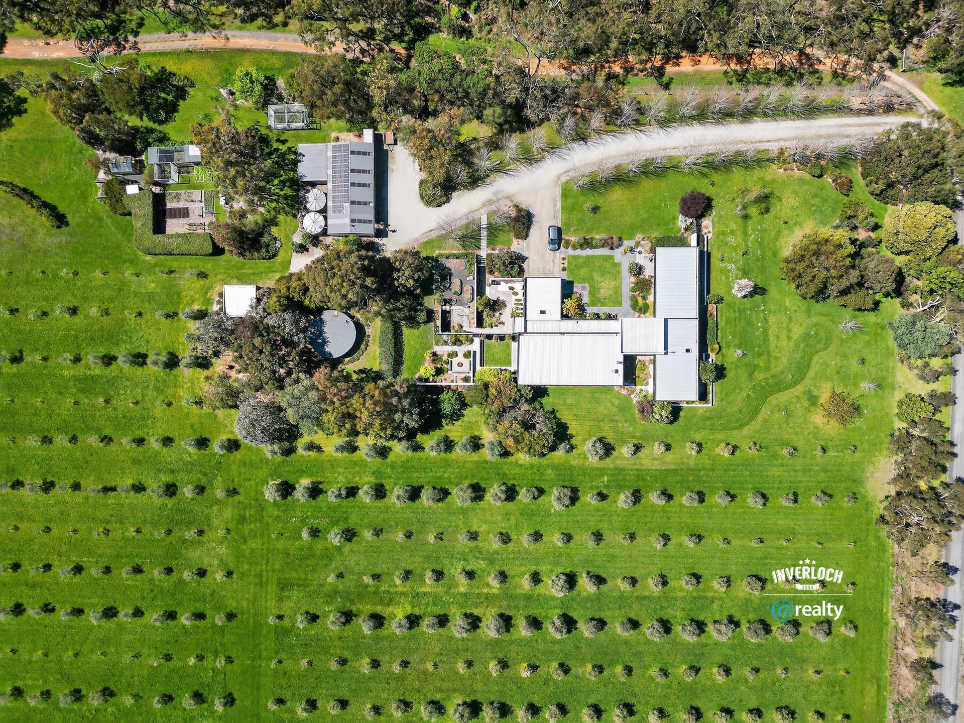 Aerial view of a home and outbuildings surrounded by a green field with rows of evenly spaced trees.