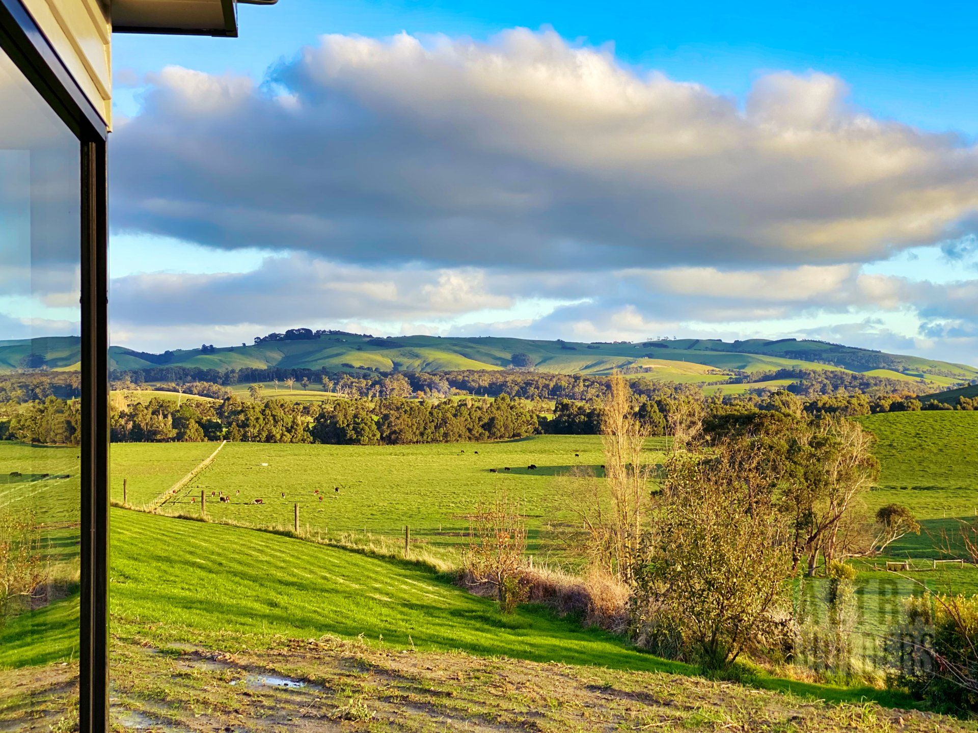 A view of a field and mountains from a window.