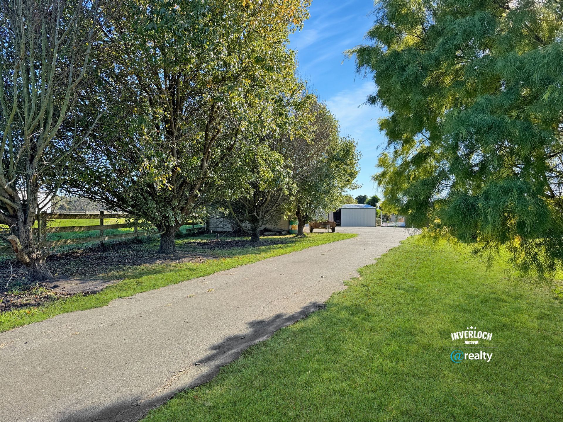 A dirt road surrounded by trees and grass leading to a house.