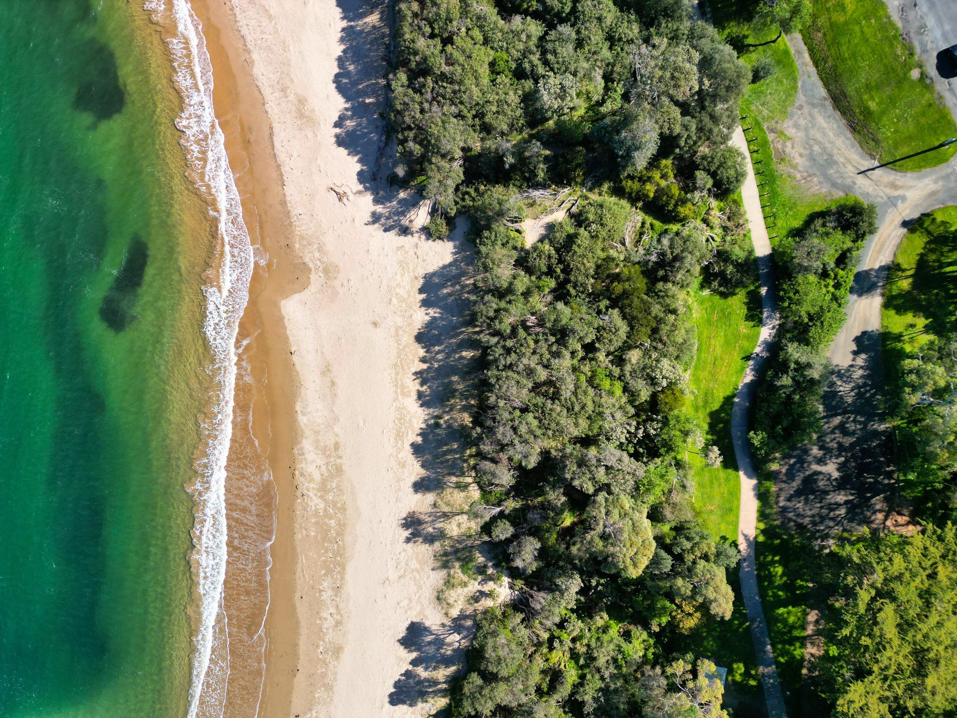 An aerial view of a beach surrounded by trees and a body of water.
