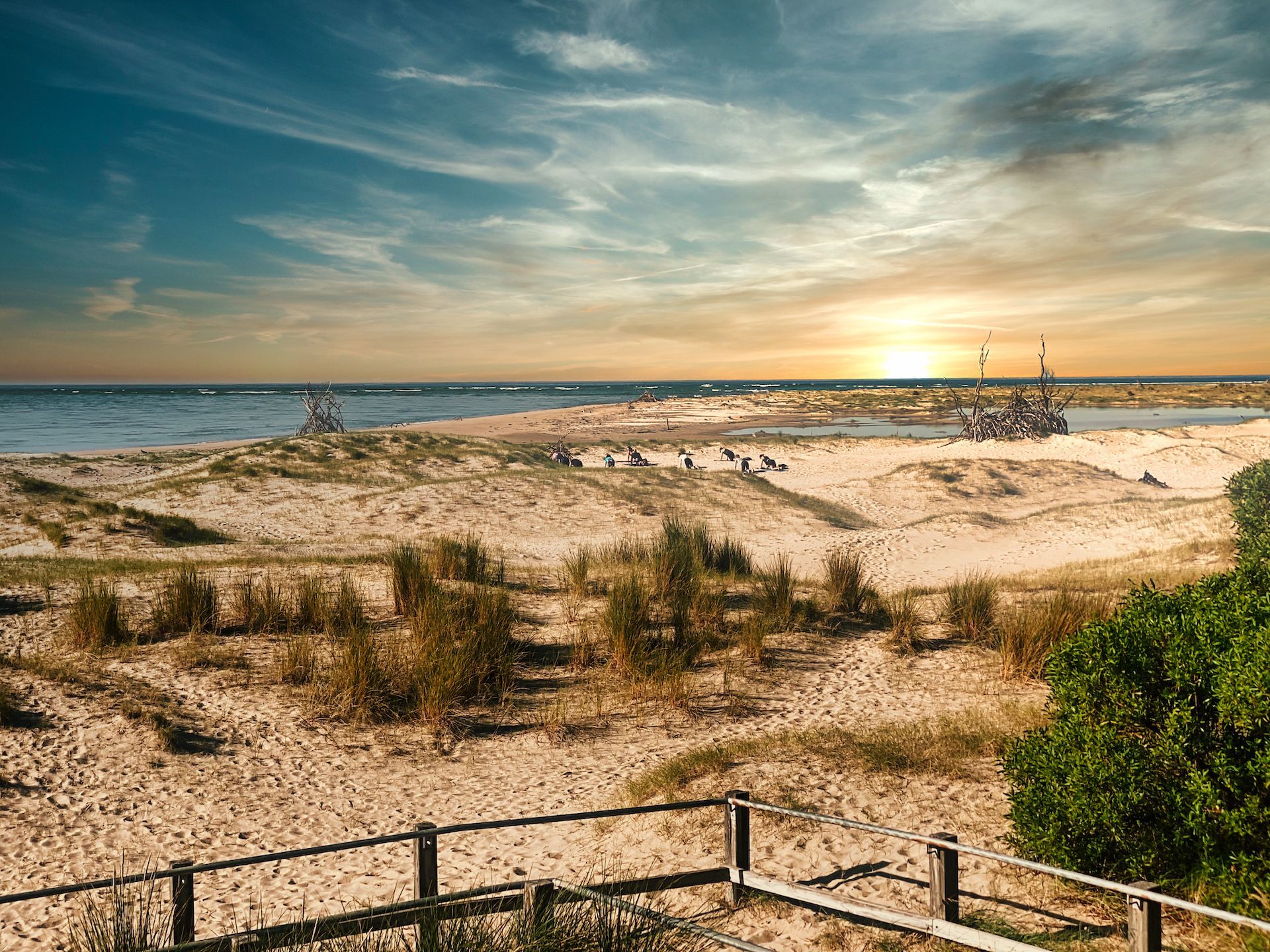 Sandy beach at sunset with dunes, ocean, and distant boat under a cloudy sky.
