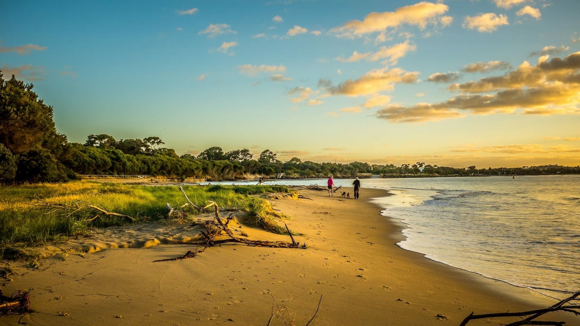 Golden sandy beach at sunset with gentle waves, green shoreline, and two people in the distance