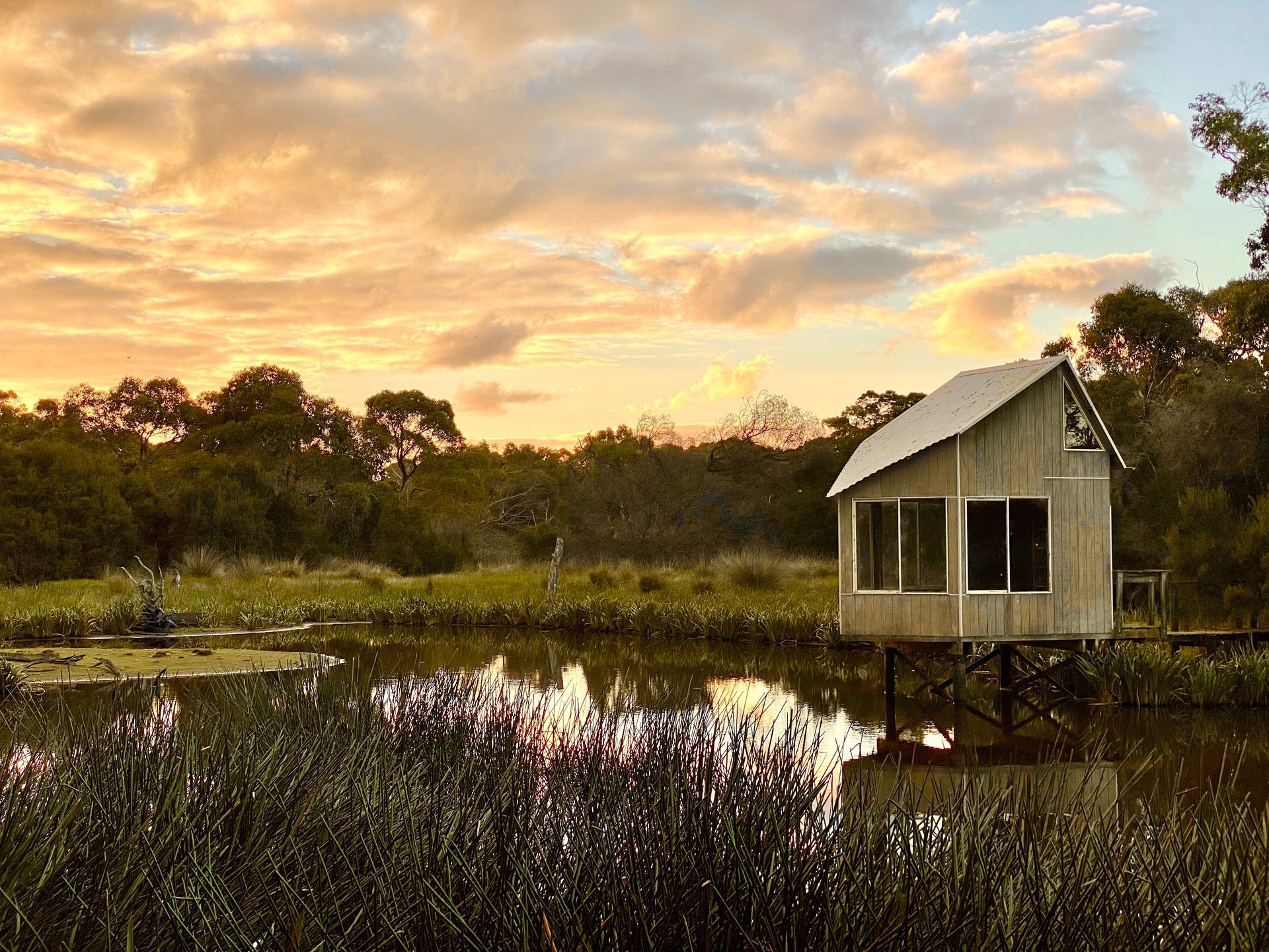 Native wetlands sanctuary at Albert Ruttle Estate showing koala habitat and bird species